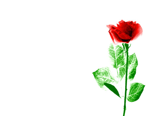 421320 (a): :1024x768